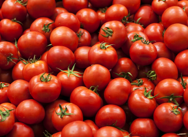 Pile of Red Tomato.